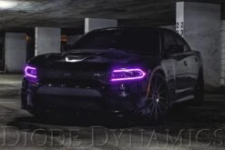 Dodge Charger 2015-2018: Diode Dynamics Multicolor LED Boards (RGBW) 12 Dodge Charger 2015-2018: Diode Dynamics Multicolor LED Boards (RGBW) -Winnipeg Hid Store 15 charger hellcat