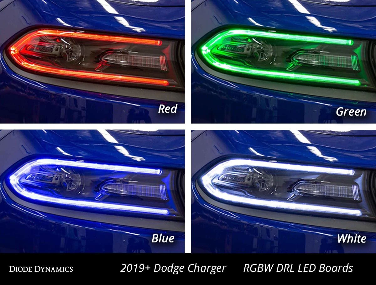Dodge Charger 2019-2021: Diode Dynamics Multicolor LED Boards (RGBW) 8 Dodge Charger 2019-2021: Diode Dynamics Multicolor LED Boards (RGBW) - Image 6