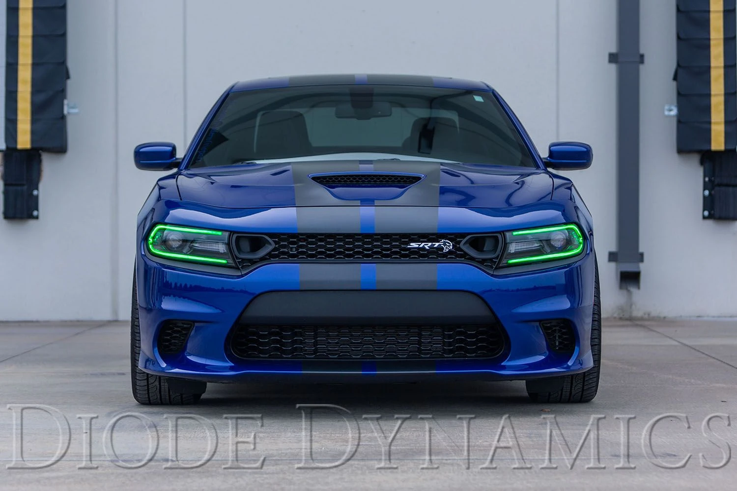 Dodge Charger 2019-2021: Diode Dynamics Multicolor LED Boards (RGBW) 6 Dodge Charger 2019-2021: Diode Dynamics Multicolor LED Boards (RGBW) - Image 4