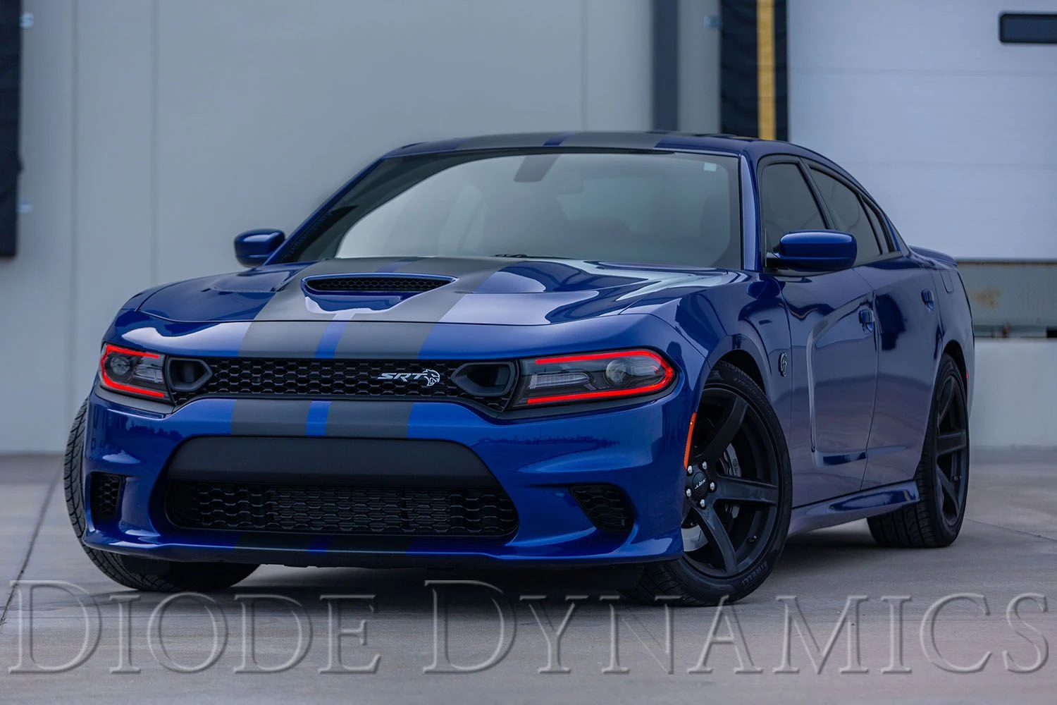 Dodge Charger 2019-2021: Diode Dynamics Multicolor LED Boards (RGBW) 7 Dodge Charger 2019-2021: Diode Dynamics Multicolor LED Boards (RGBW) - Image 5