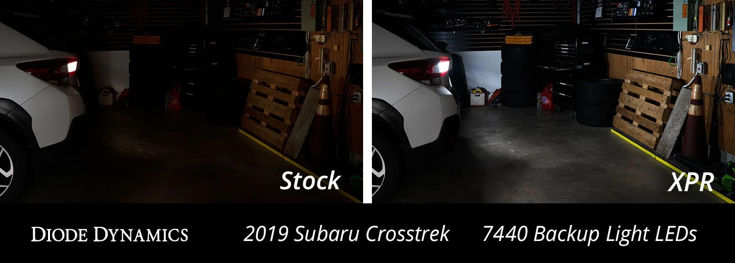 3156/3157: Diode Dynamics XPR Cool White Backup LED Bulbs 6 3156/3157: Diode Dynamics XPR Cool White Backup LED Bulbs - Image 4