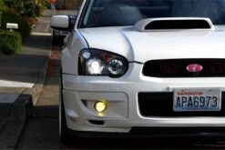 Apollo 2.0 -Winnipeg Hid Store 26823.Apollo 2.110