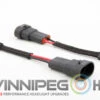 Molex High Beam Adapters -Winnipeg Hid Store Morimoto Solenoid Adapters Female 9376 Watermark