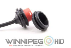 D2S Ballast Housing Seals