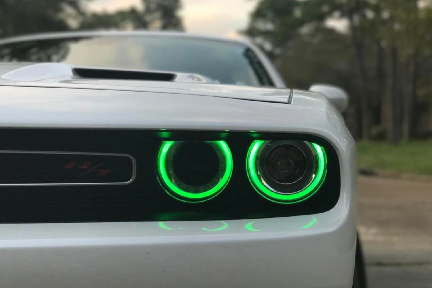 Dodge Challenger 2015-2023: Diode Dynamics Multicolor LED Boards (RGBW) 7 Dodge Challenger 2015-2023: Diode Dynamics Multicolor LED Boards (RGBW) - Image 5
