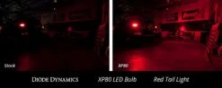 1157: Diode Dynamics XP80 Tail Light LED Bulbs (Red) -Winnipeg Hid Store xp80 red collage 2